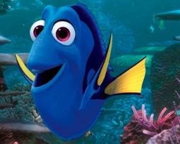 “DORI” WOD 6/6/25